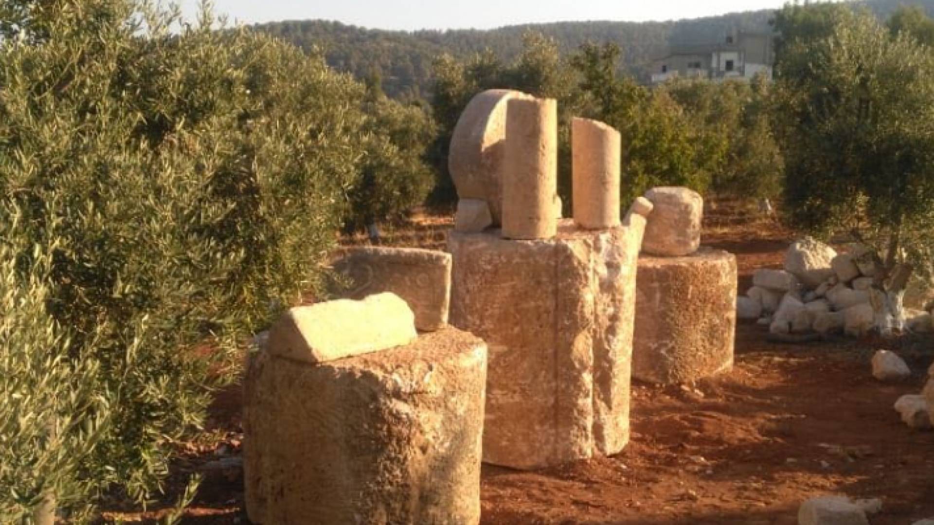 جانب من المضبوطات