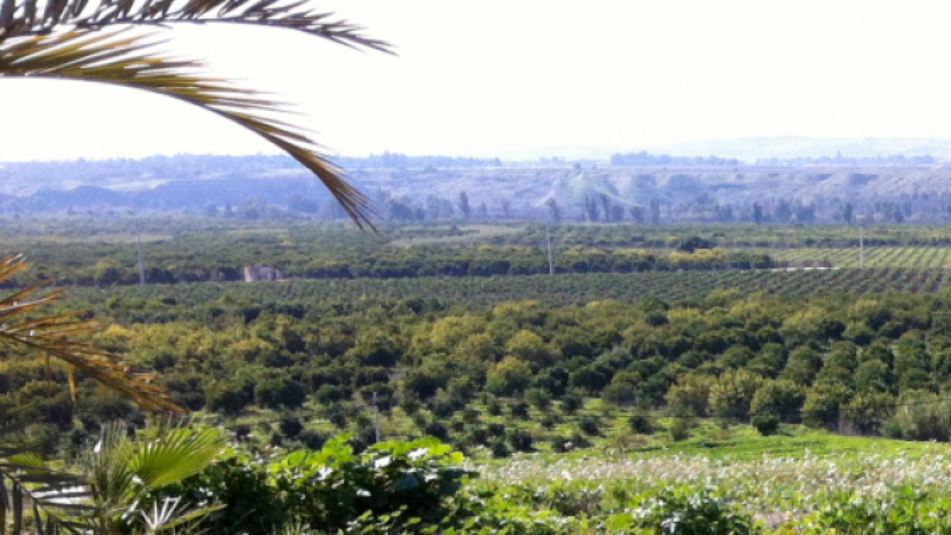 أجواء صيفية معتدلة نهارا ولطيفة رطبة ليلا مع نشاط في الرياح