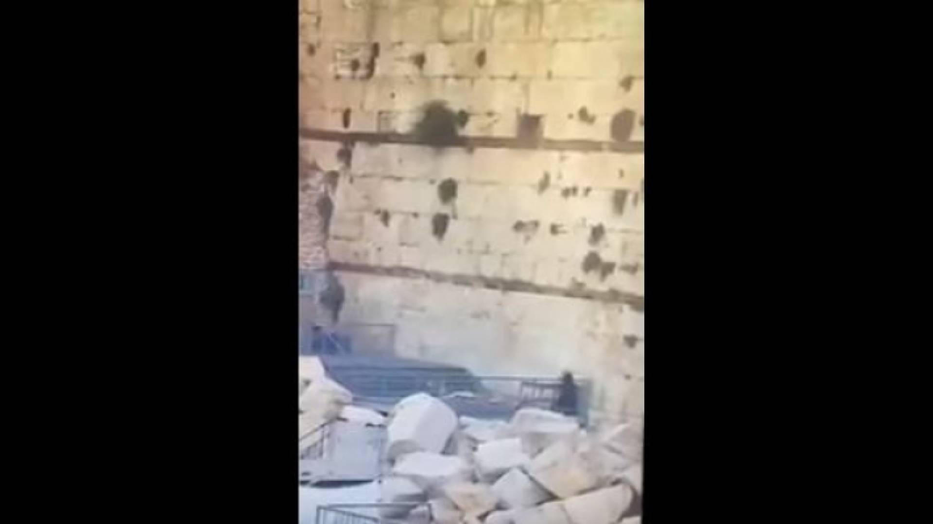 من الفيديو