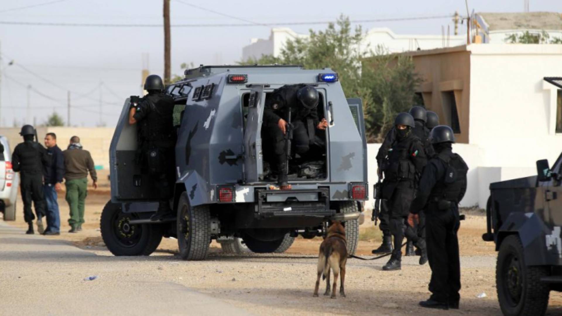 ارشيفية