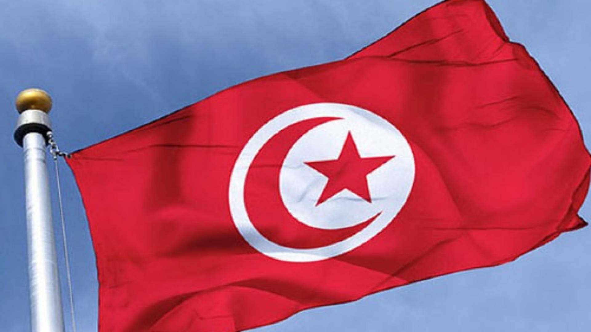 ارشيفية
