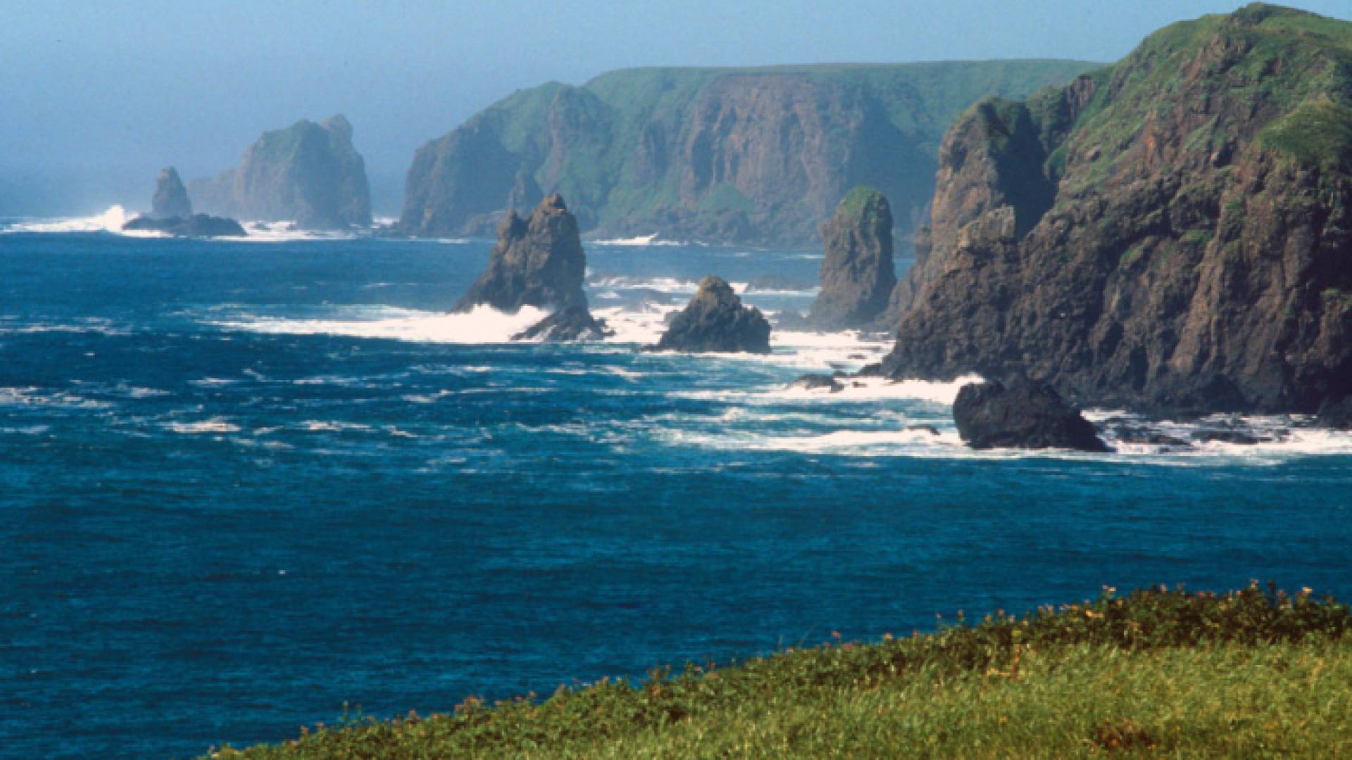 زلزال عنيف يضرب "حلقة النار" في المحيط الهادئ