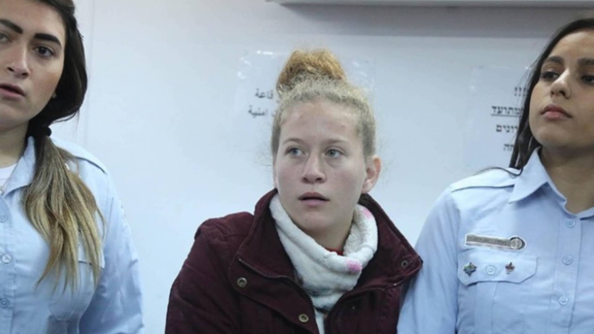 عهد التميمي