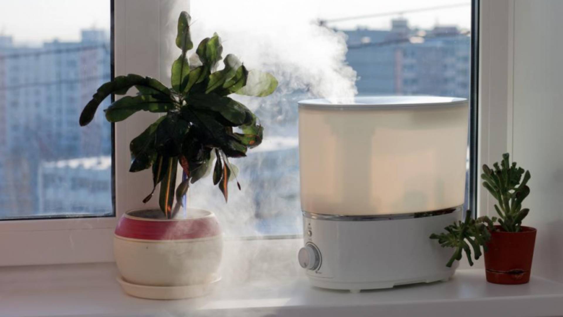 الهواء الداخلي غالبا ما يكون أكثر تلوثا من الهواء الخارجي