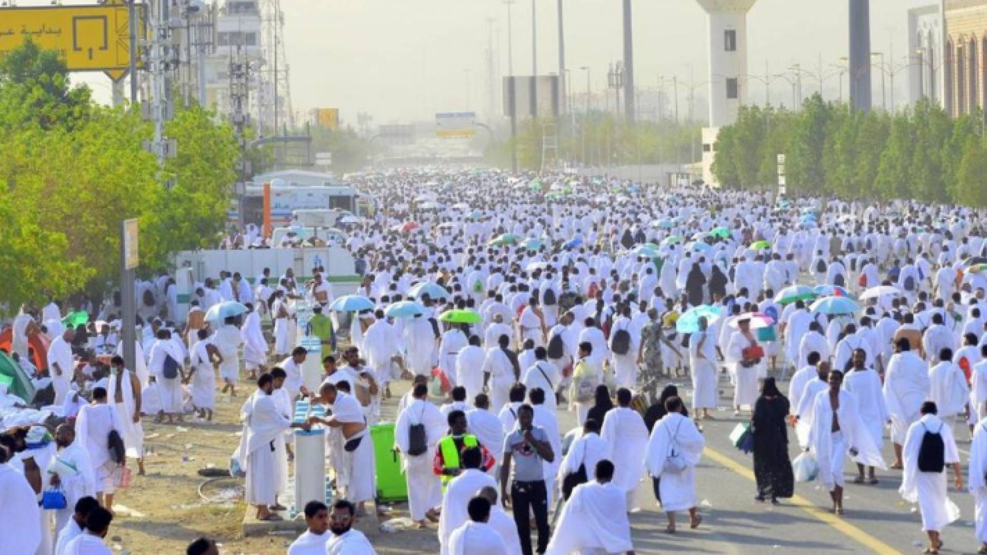 أرقام "مميزة" في موسم الحج الحالي