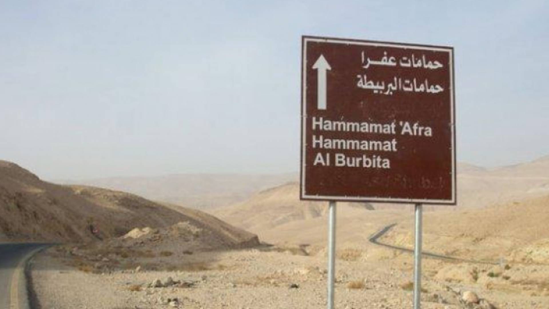 ارشيفية