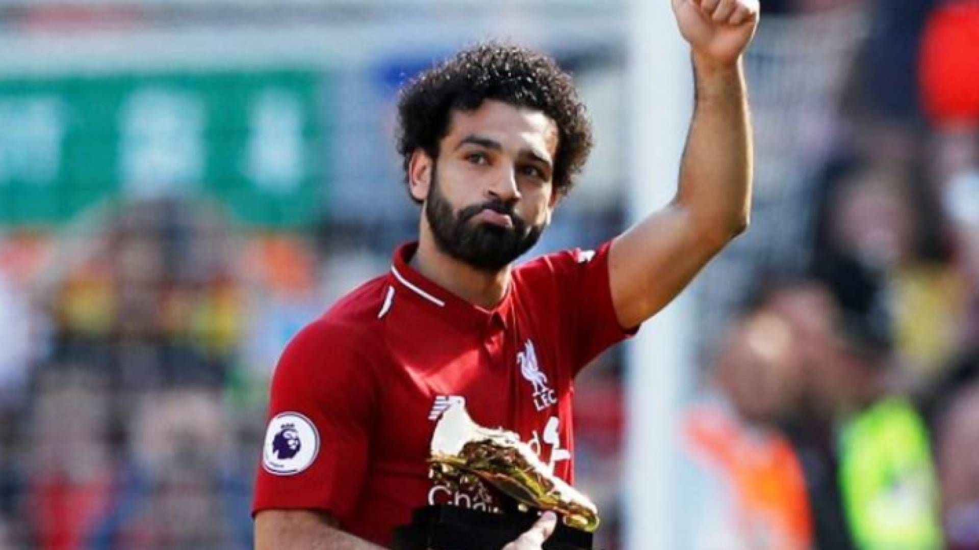 ارشيفية