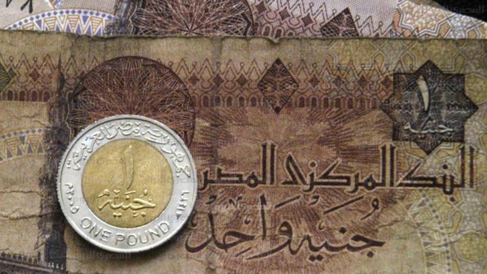 ارشيفية