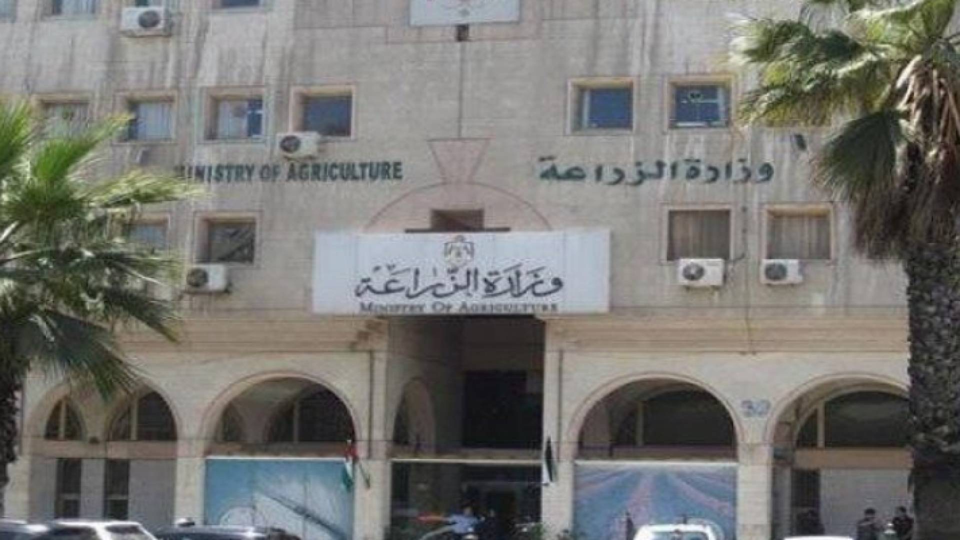 وزارة الزراعة تعد خطة لتحفيز القطاع الزراعي بقيمة 100 مليون دينار