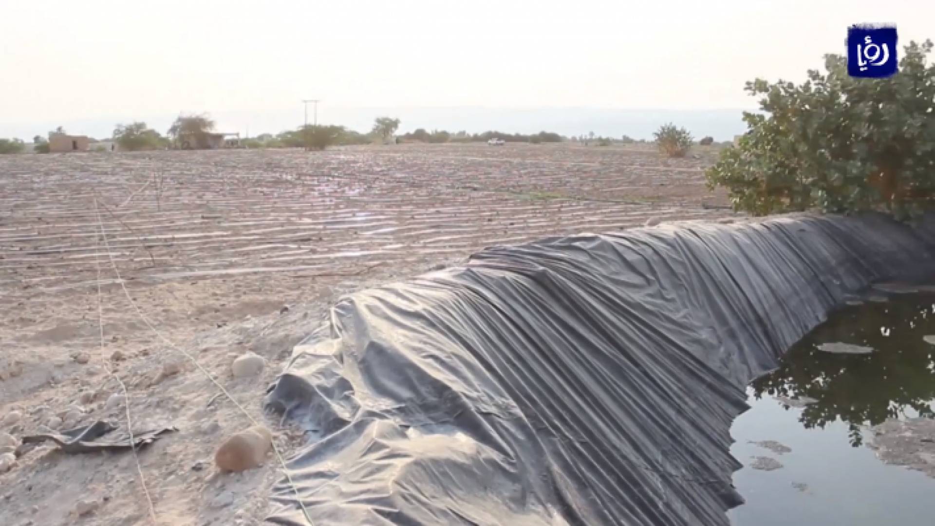 صورة من الفيديو