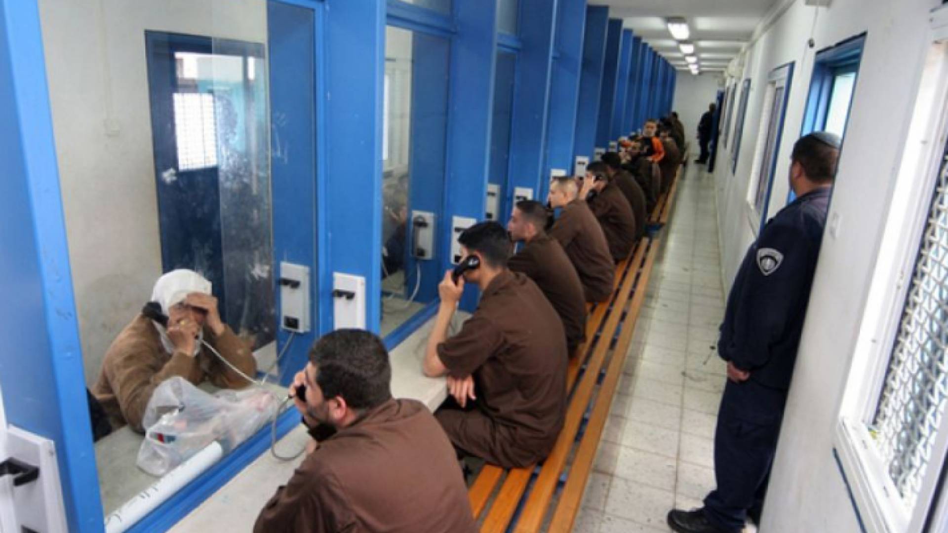 ارشيفية