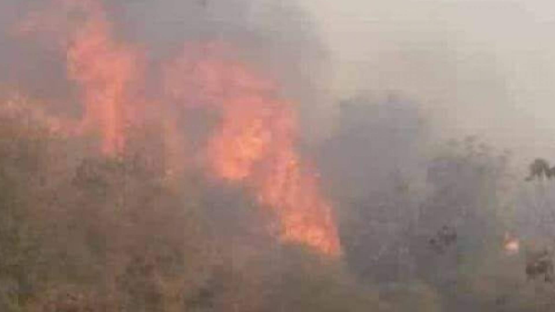 الحريق من احراش جرش