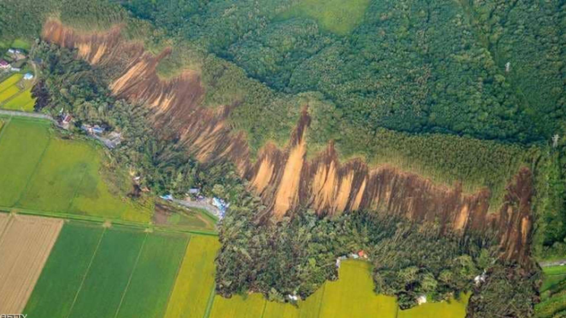 صورة من اعصار اليابان