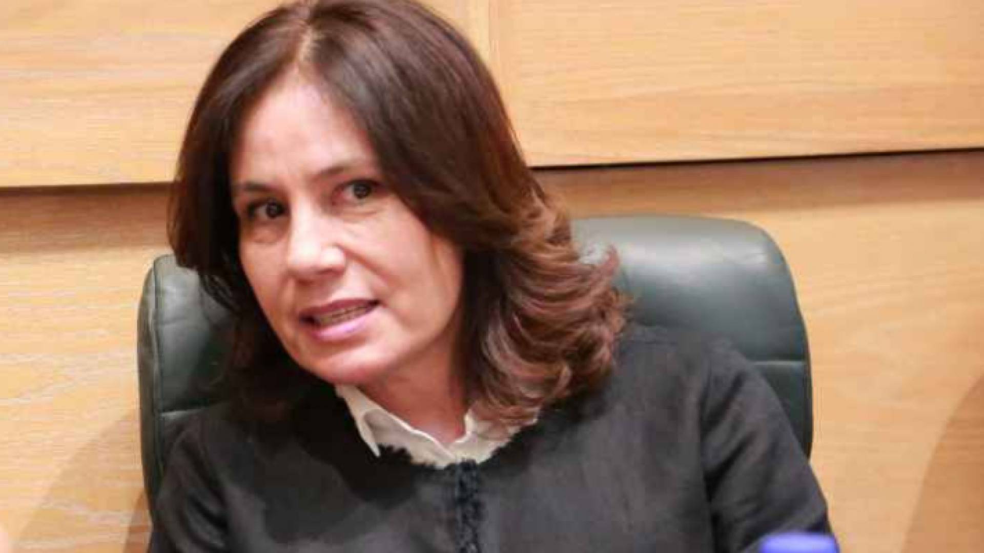 وزيرة الطاقة والثروة المعدنية المهندسة هالة زواتي