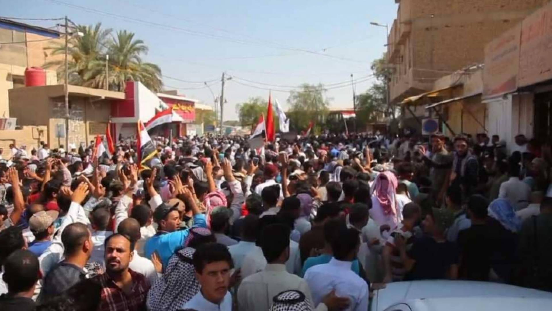 ارشيفية