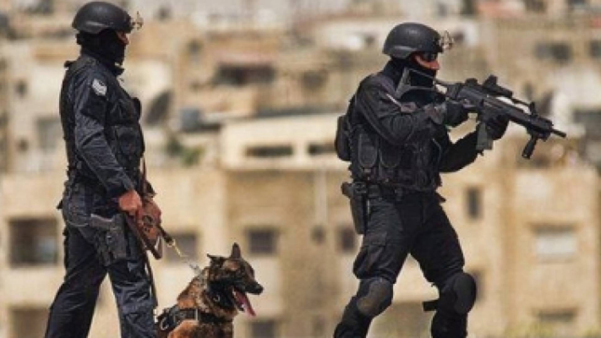 ارشيفية
