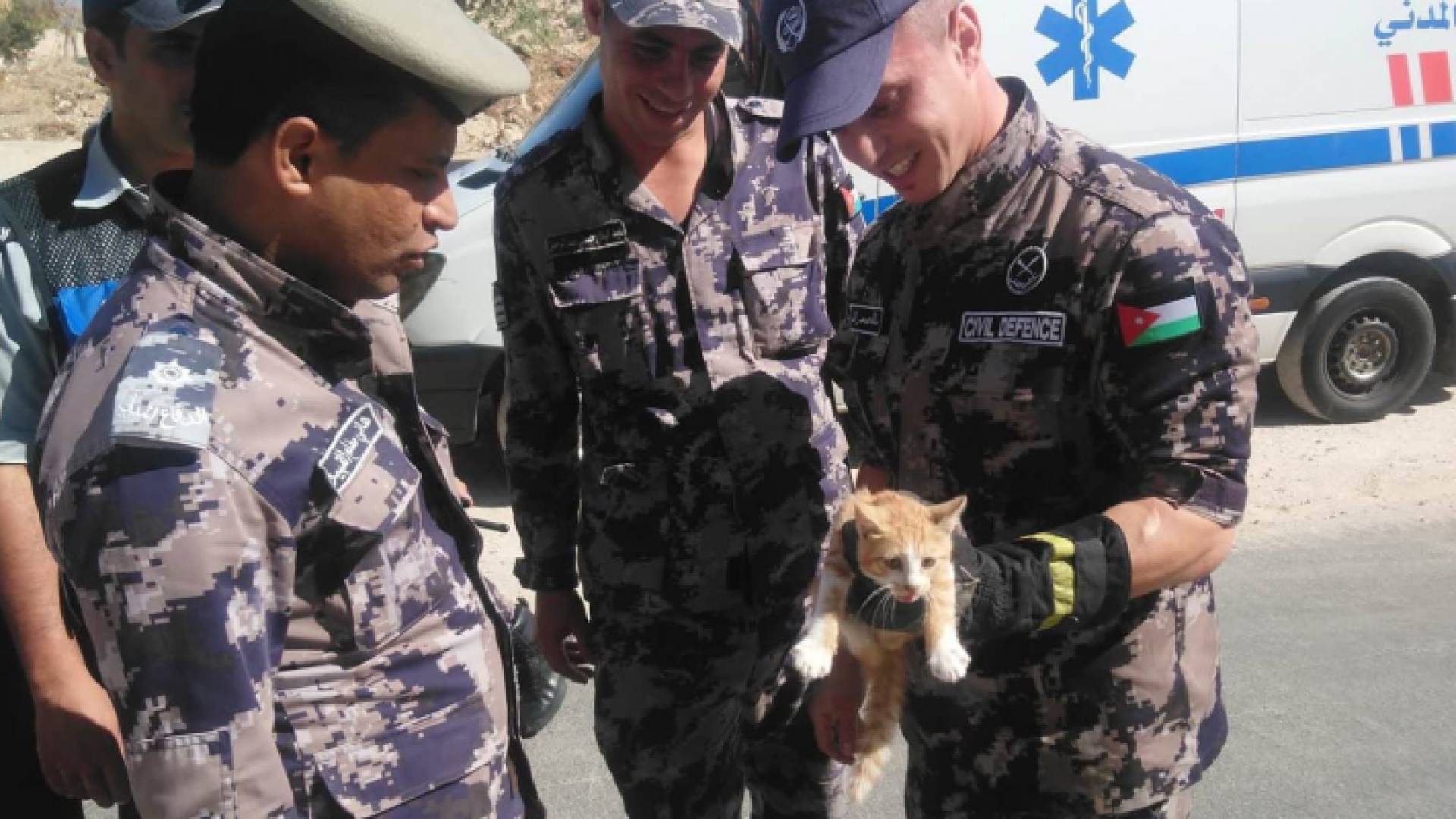 الدفاع المدني ينقذ قطة علقت على شجرة في خريبة السوق