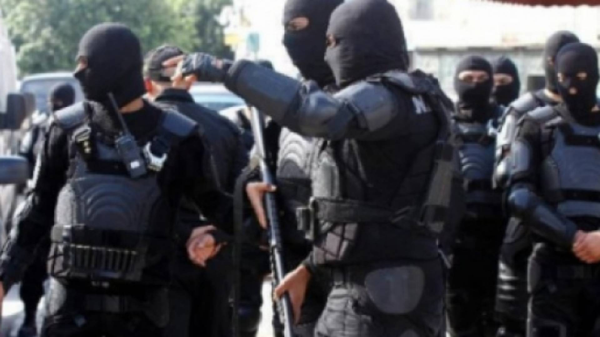 ارشيفية