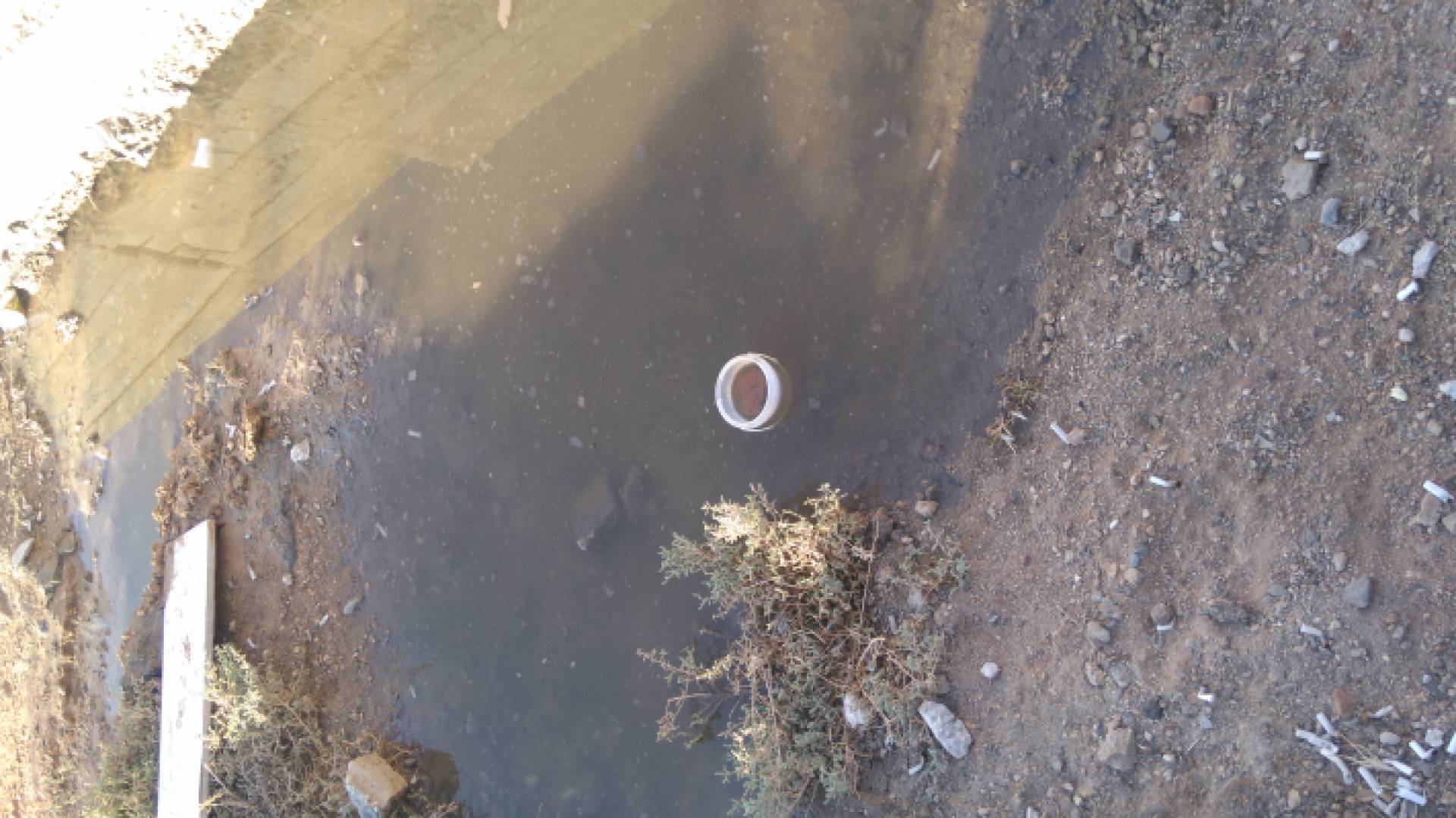 مياه الصرف الصحي تداهم منازل مواطنين في الزرقاء