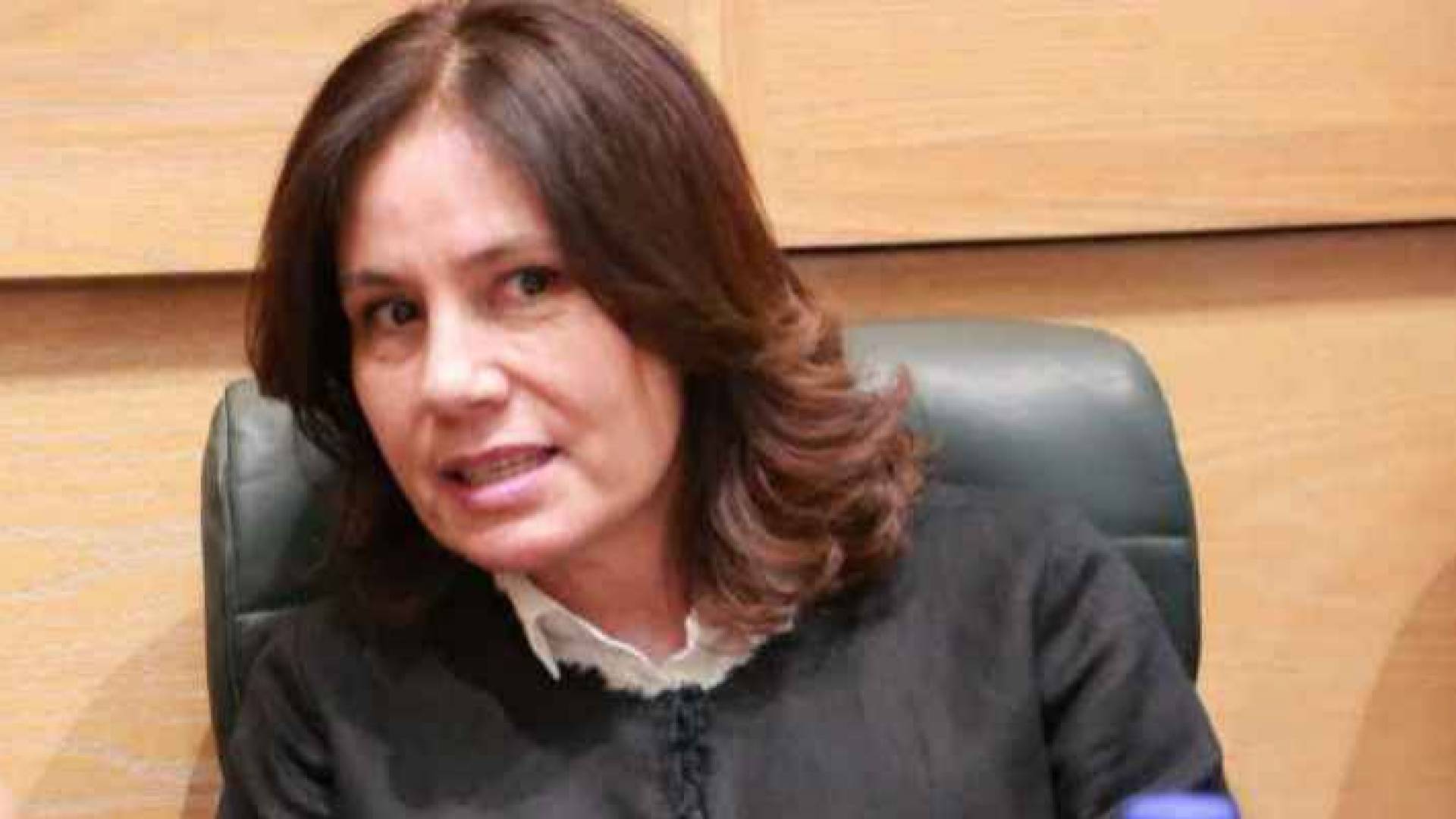 وزيرة الطاقة والثروة المعدنية المهندسة هالة زواتي