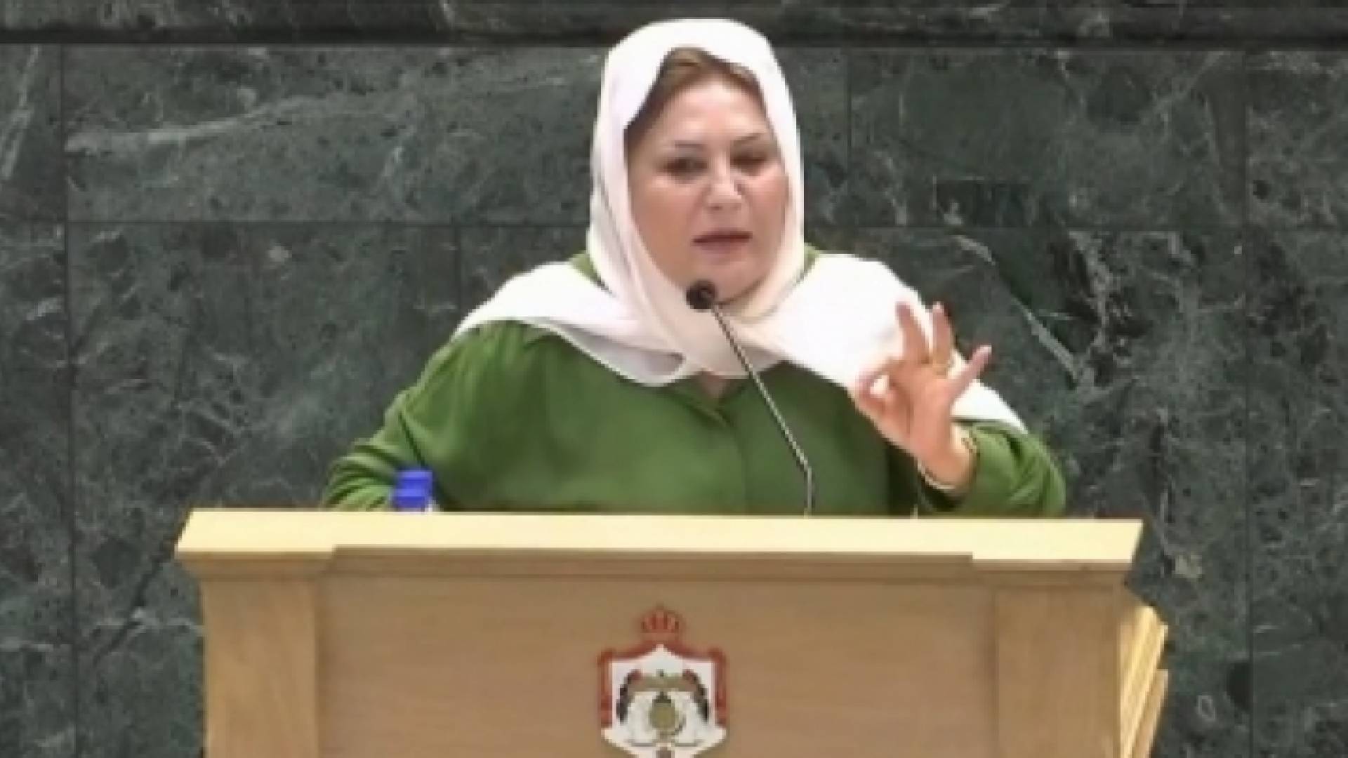 النائب انصاف الخوالدة