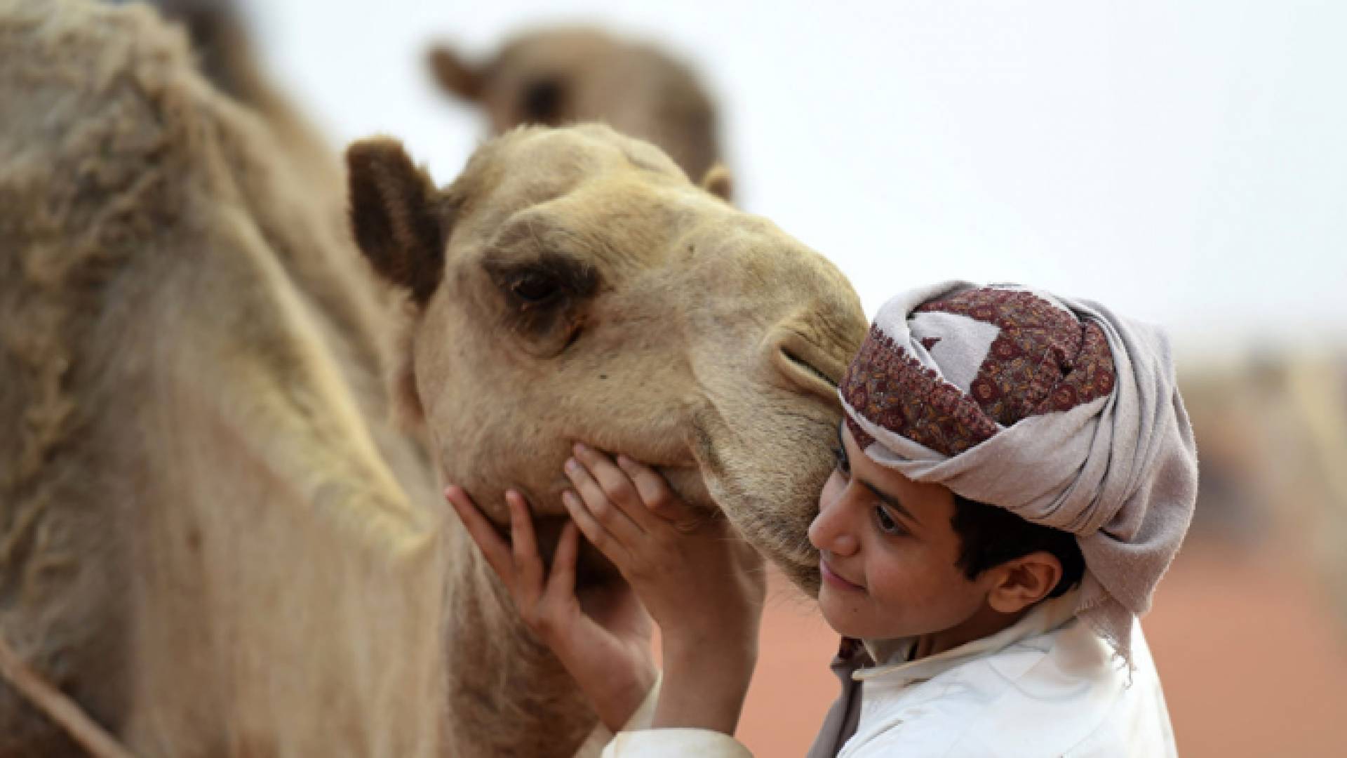 ارشيفية
