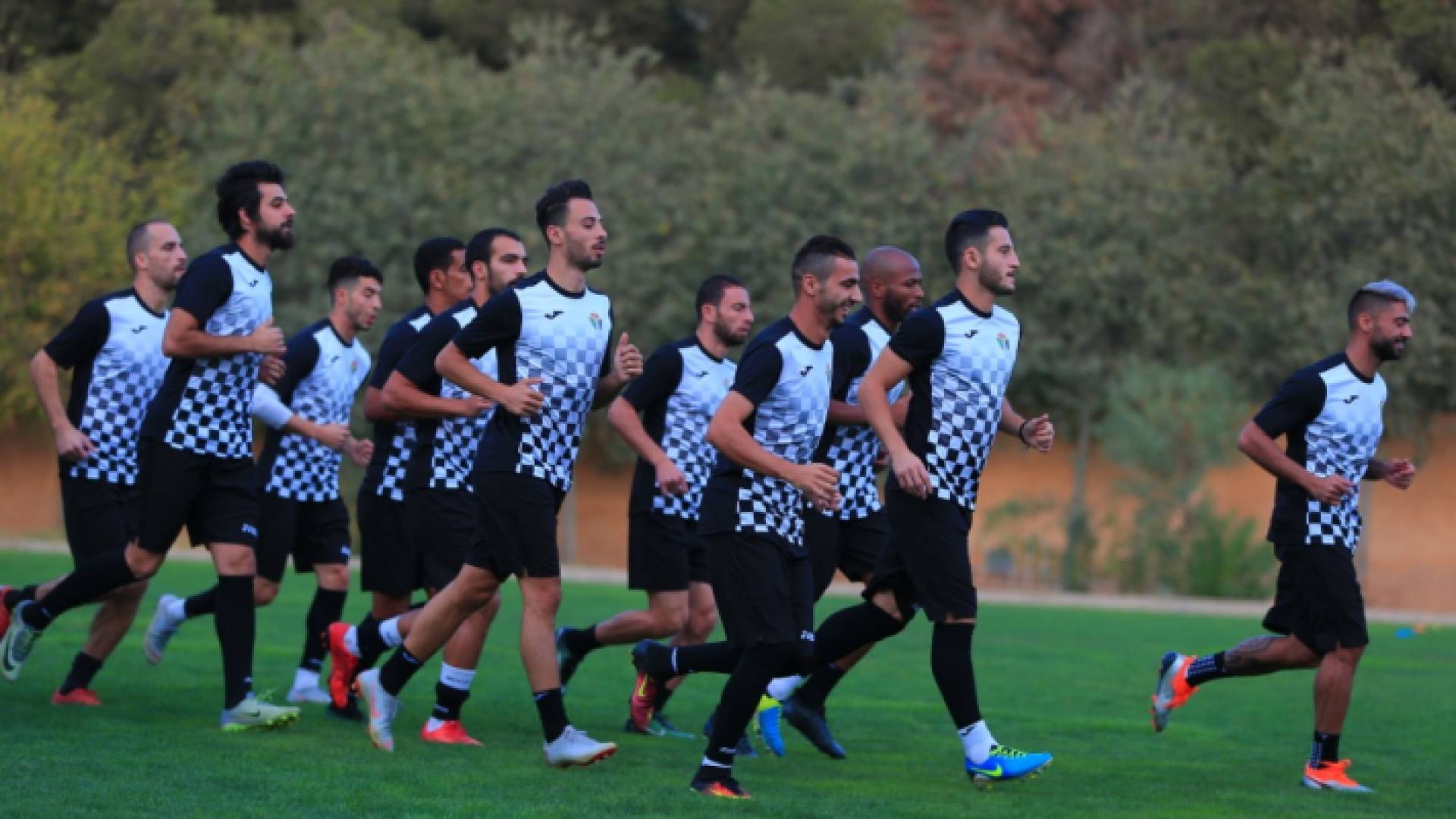 ارشيفية
