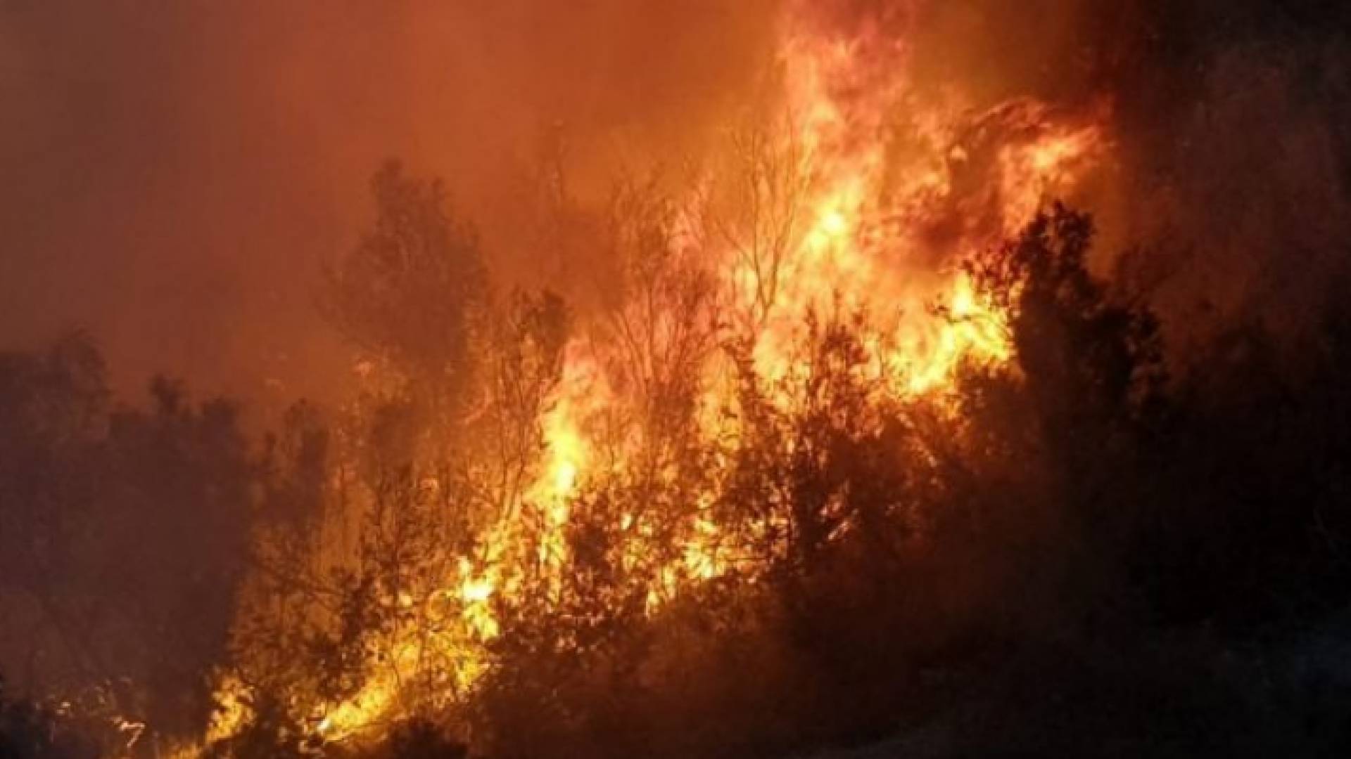 حريق الوادي الجديد