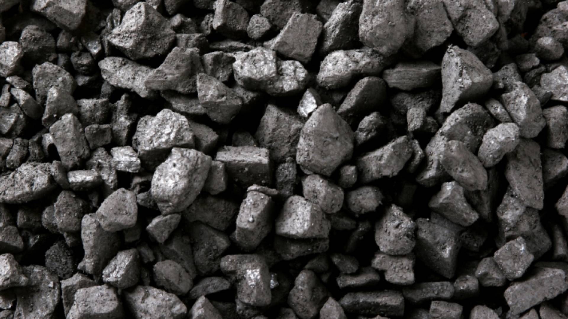 الصخر الزيتي