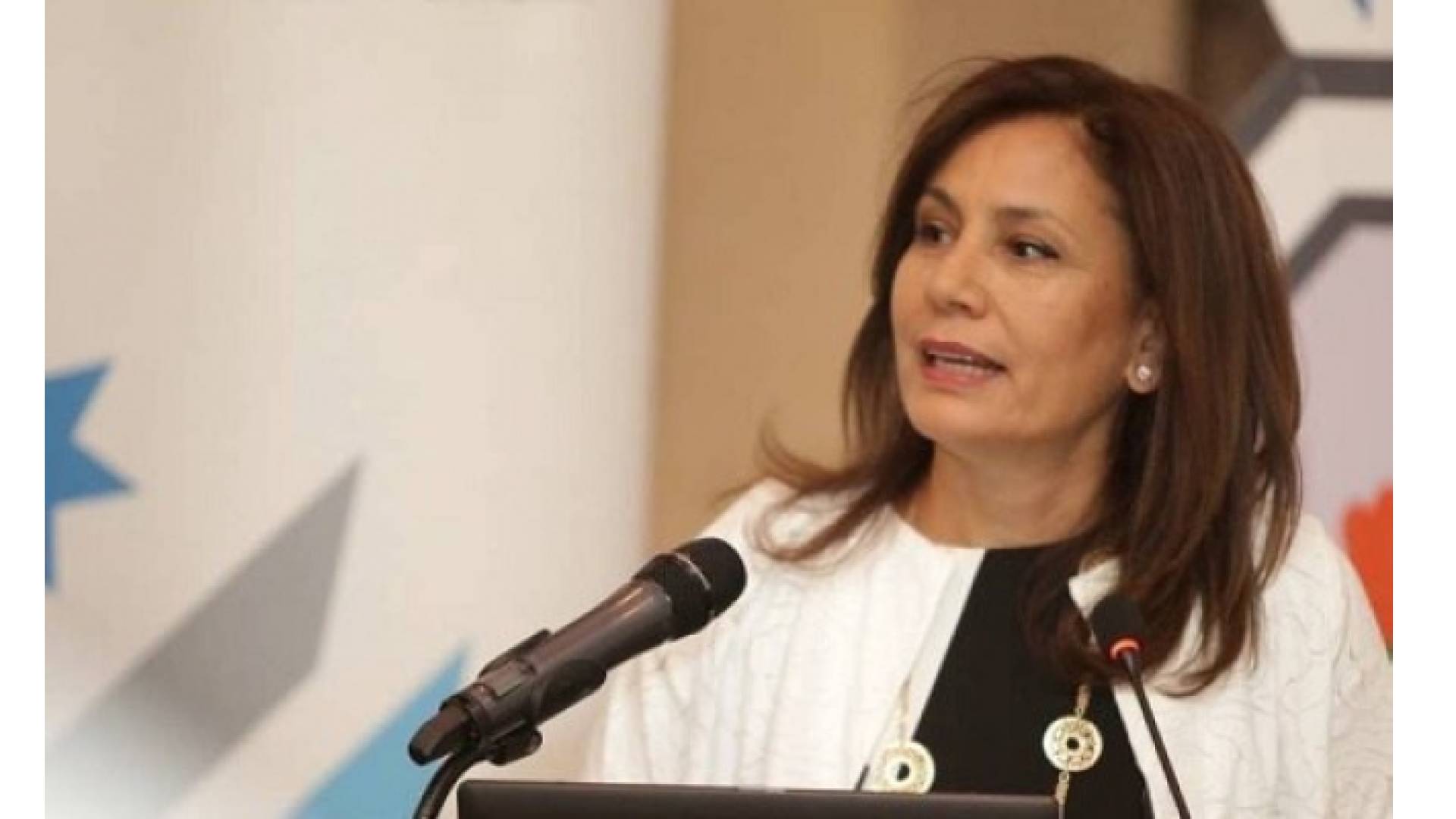 وزيرة الطاقة والثروة المعدنية المهندسة هالة زواتي