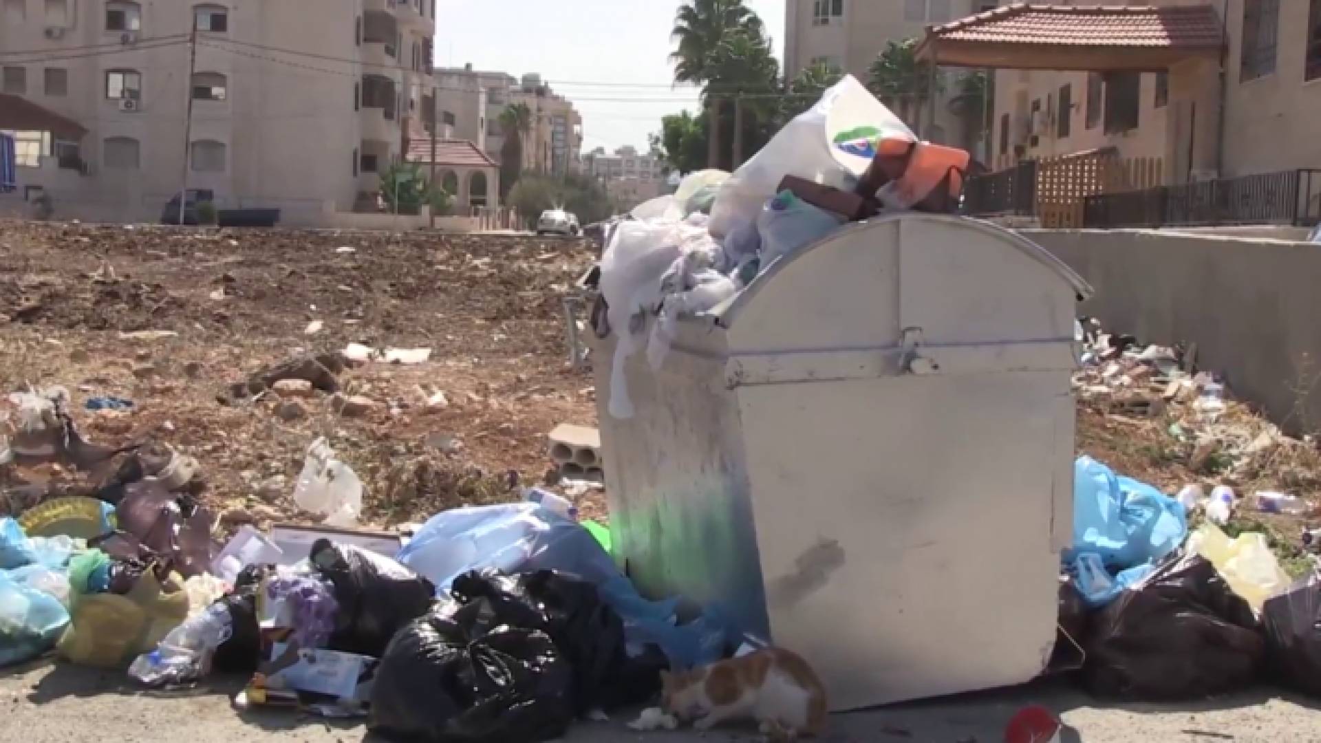من الفيديو