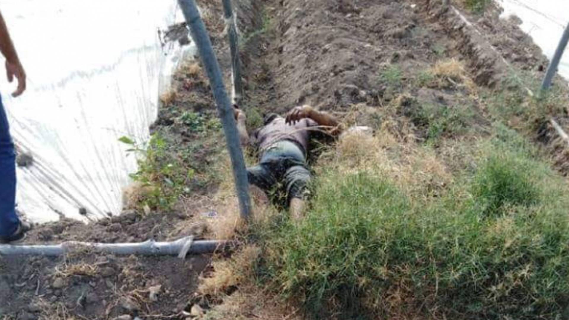 من موقع الحادث