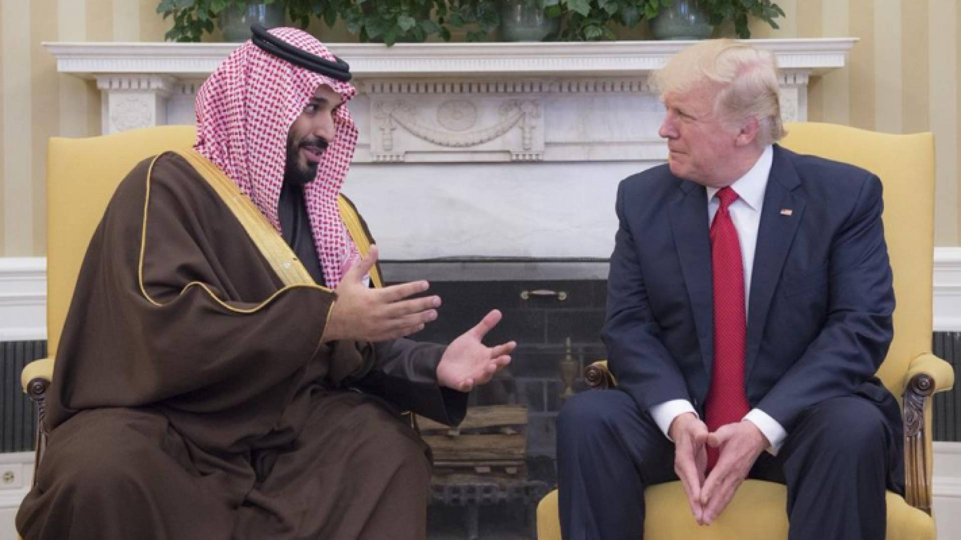 ارشيفية