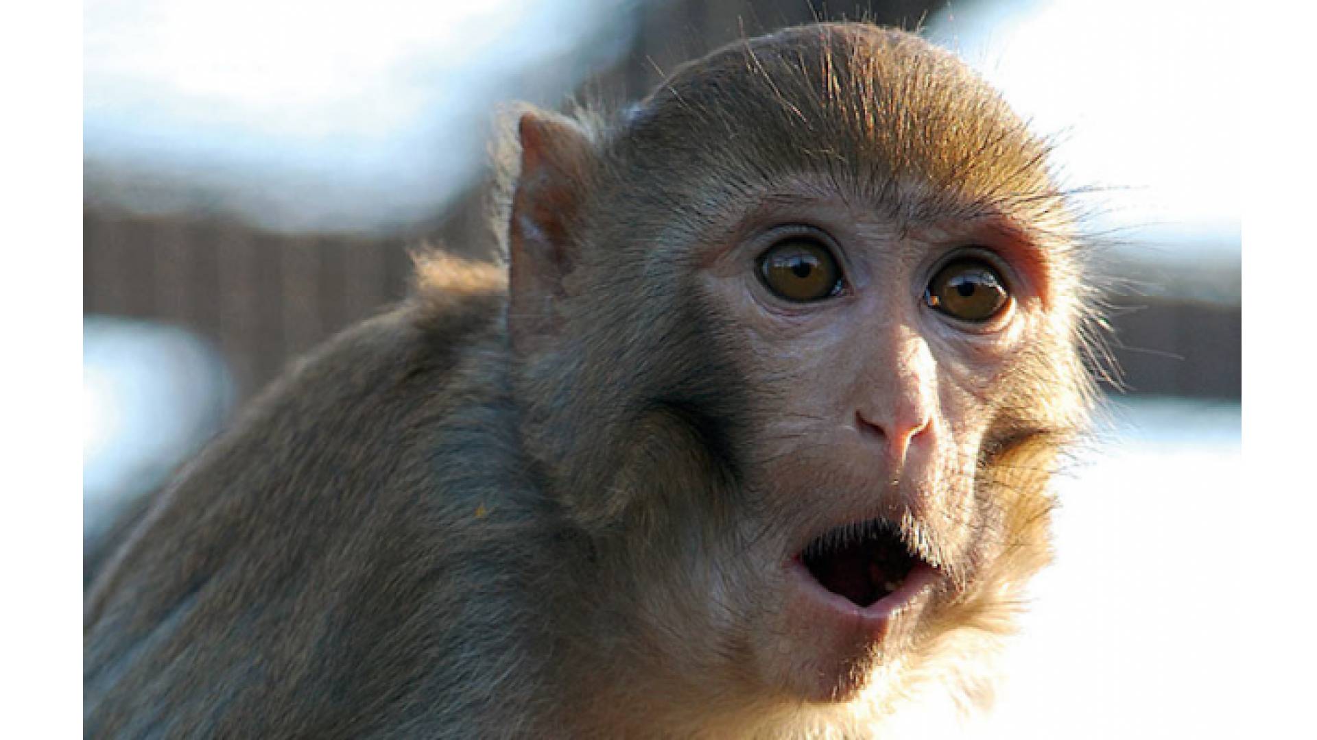 الصورة تعبيرية