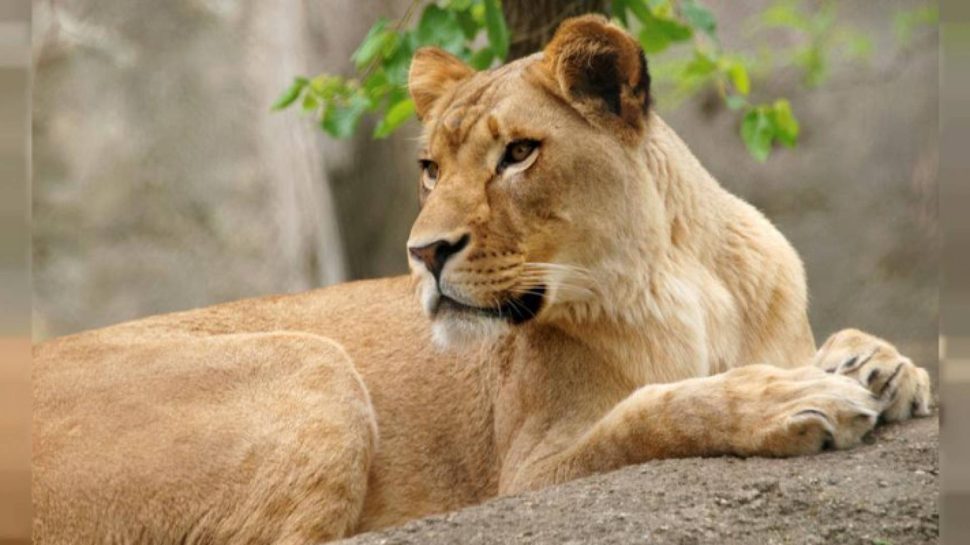 الصورة ارشيفية