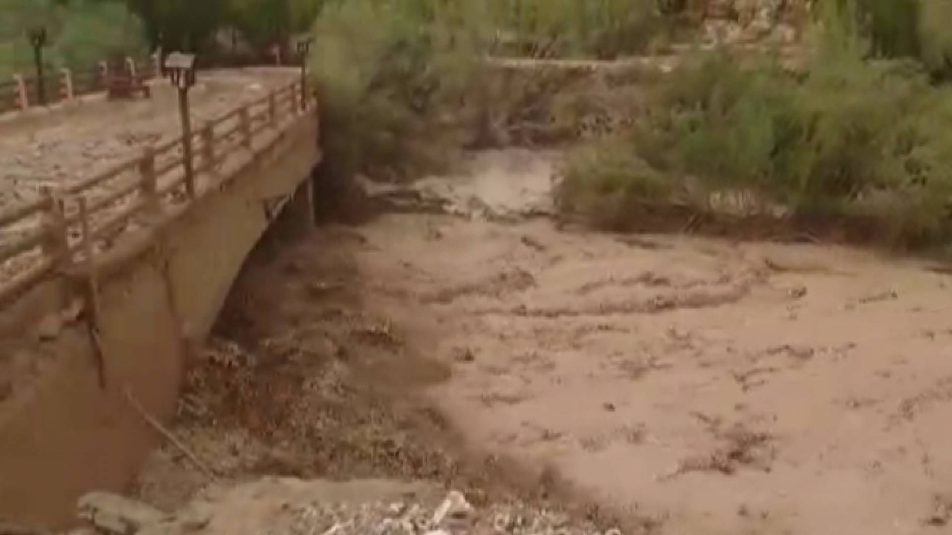 صورة من الفيديو