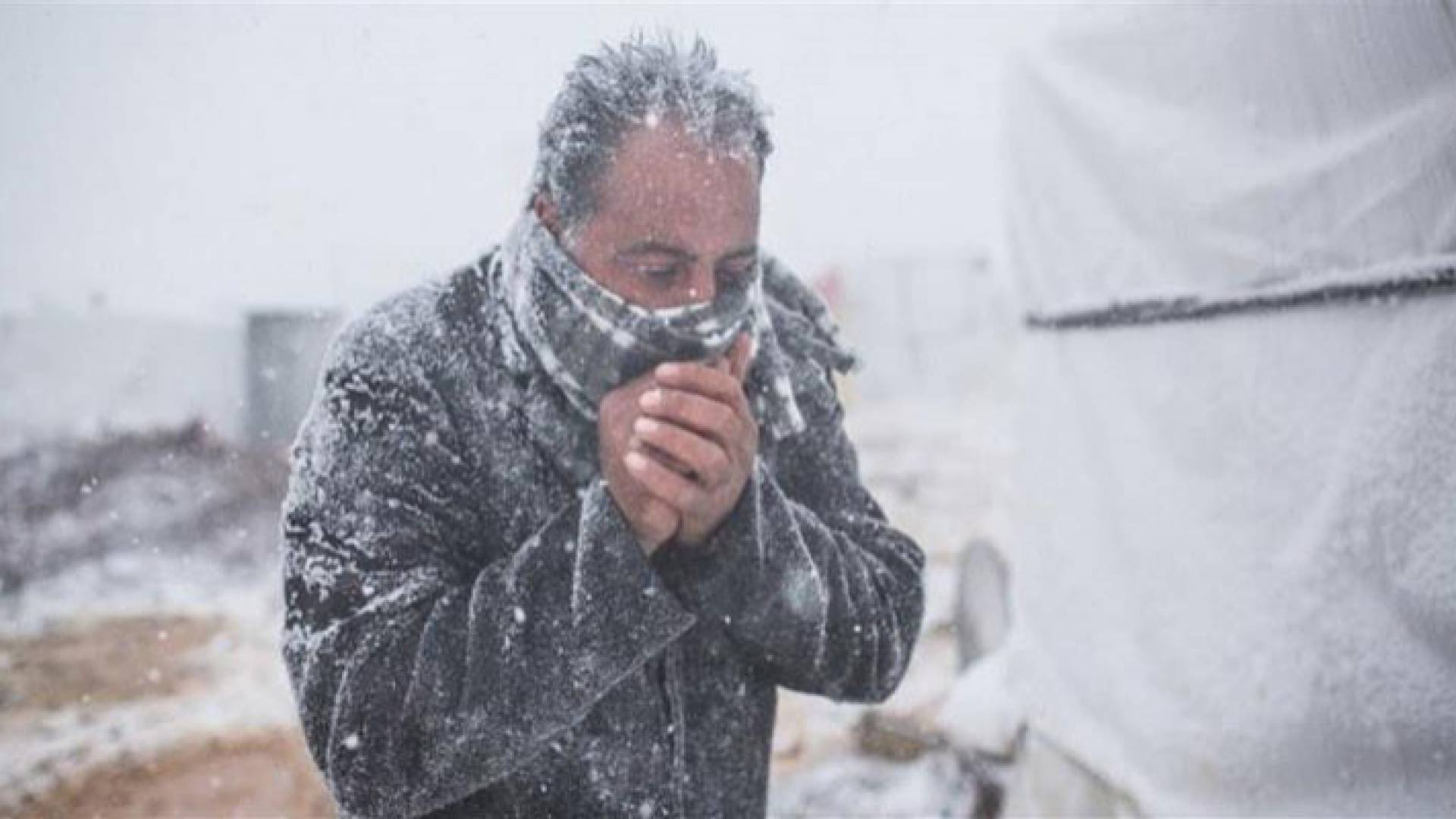 الصورة تعبيرية