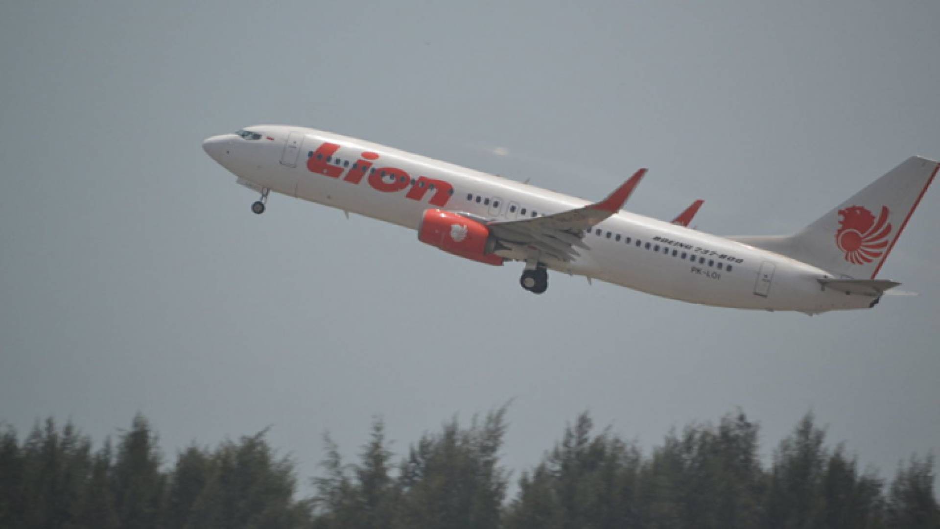 طائرة إندونيسية