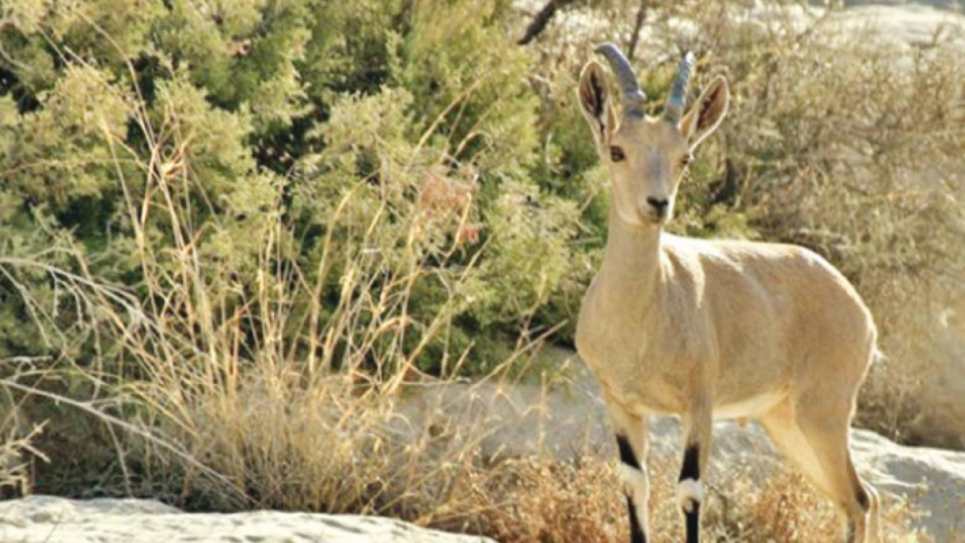 الصورة ارشيفية