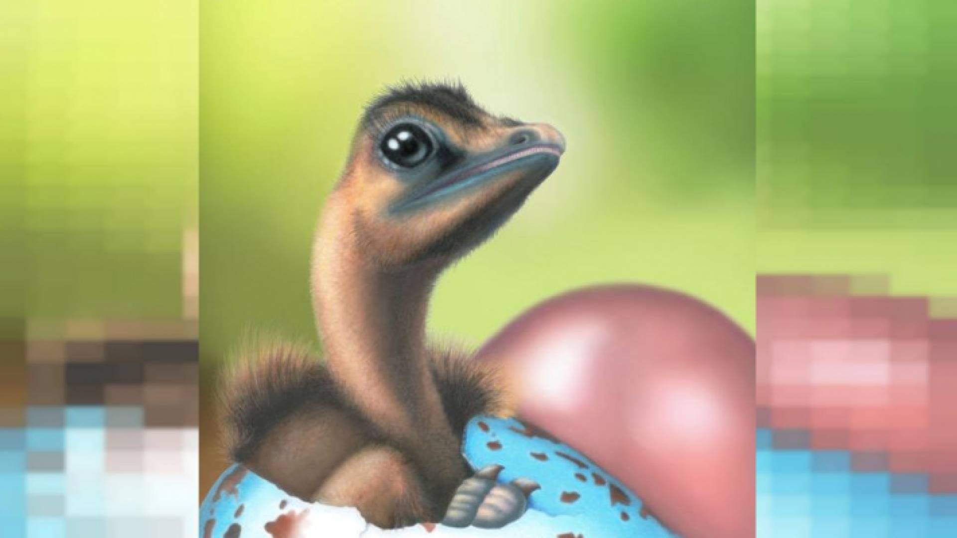 الصورة تعبيرية