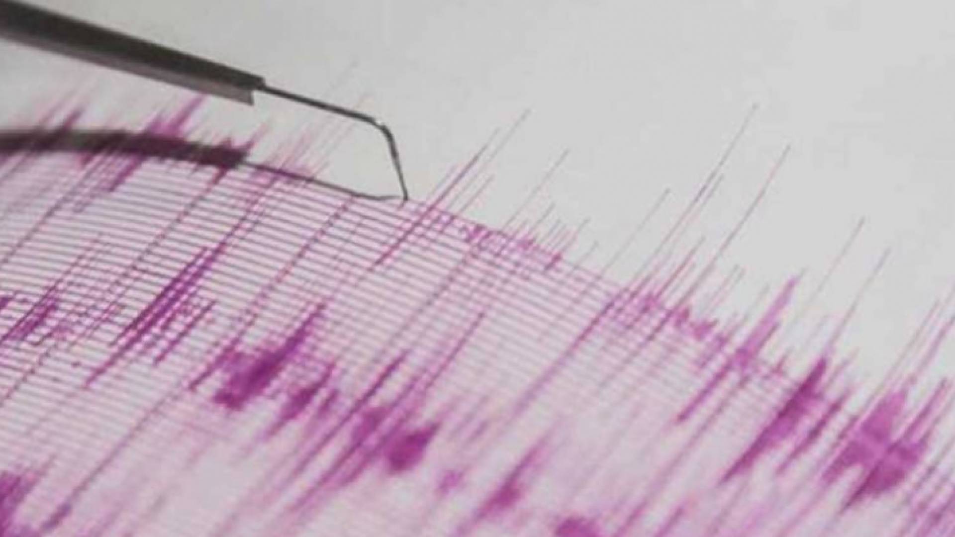 الصورة تعبيرية