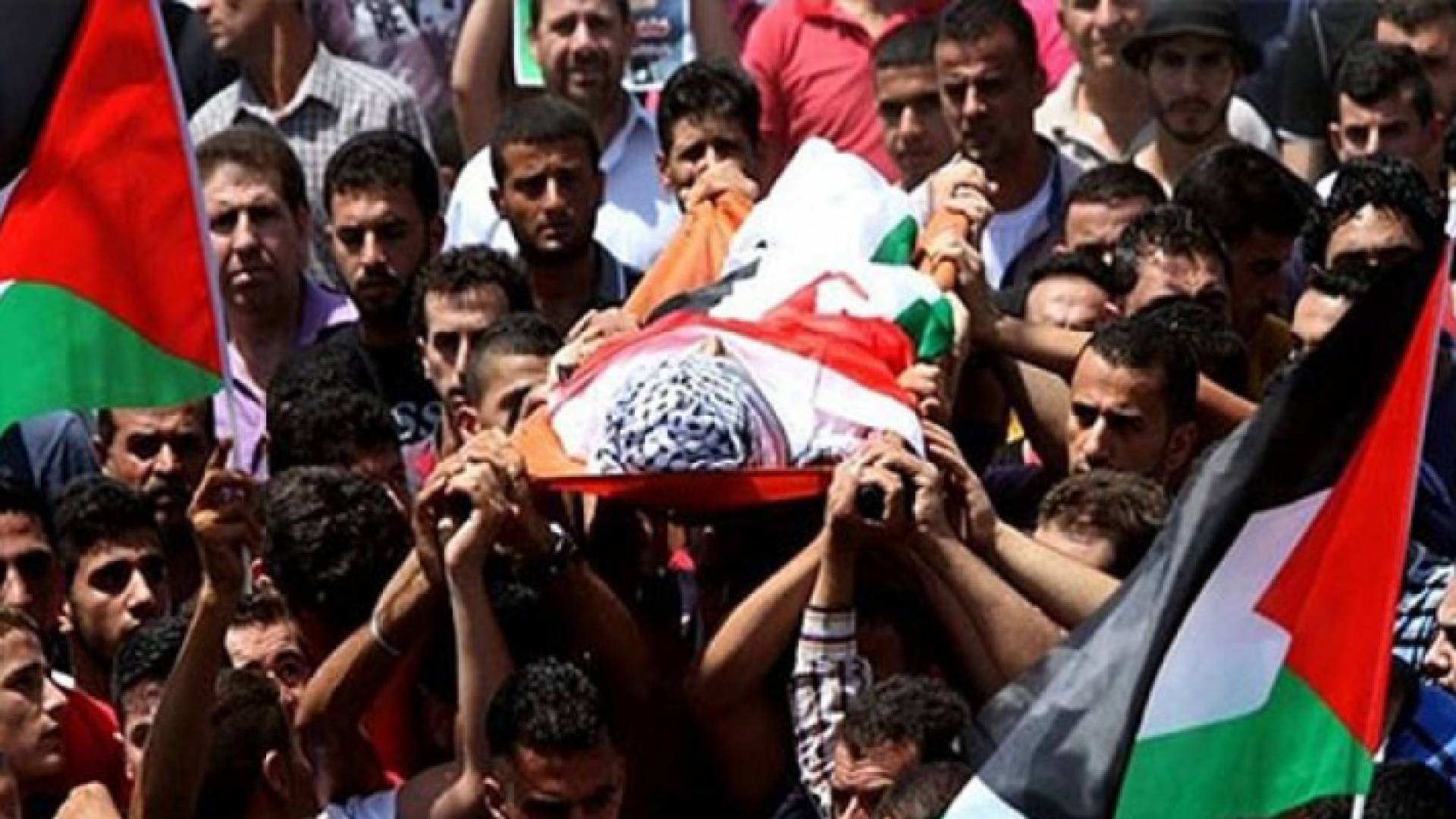 الصورة ارشيفية