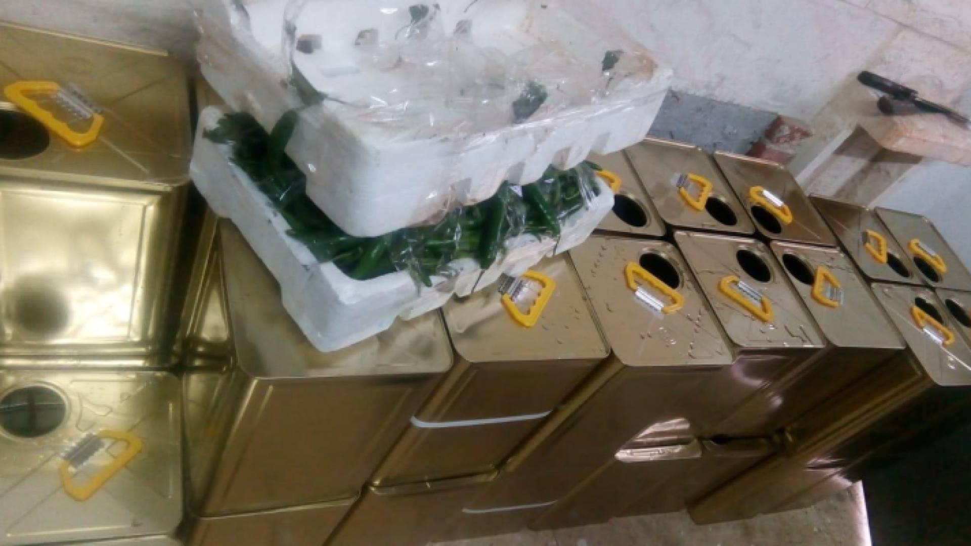 جانب من المضبوطات