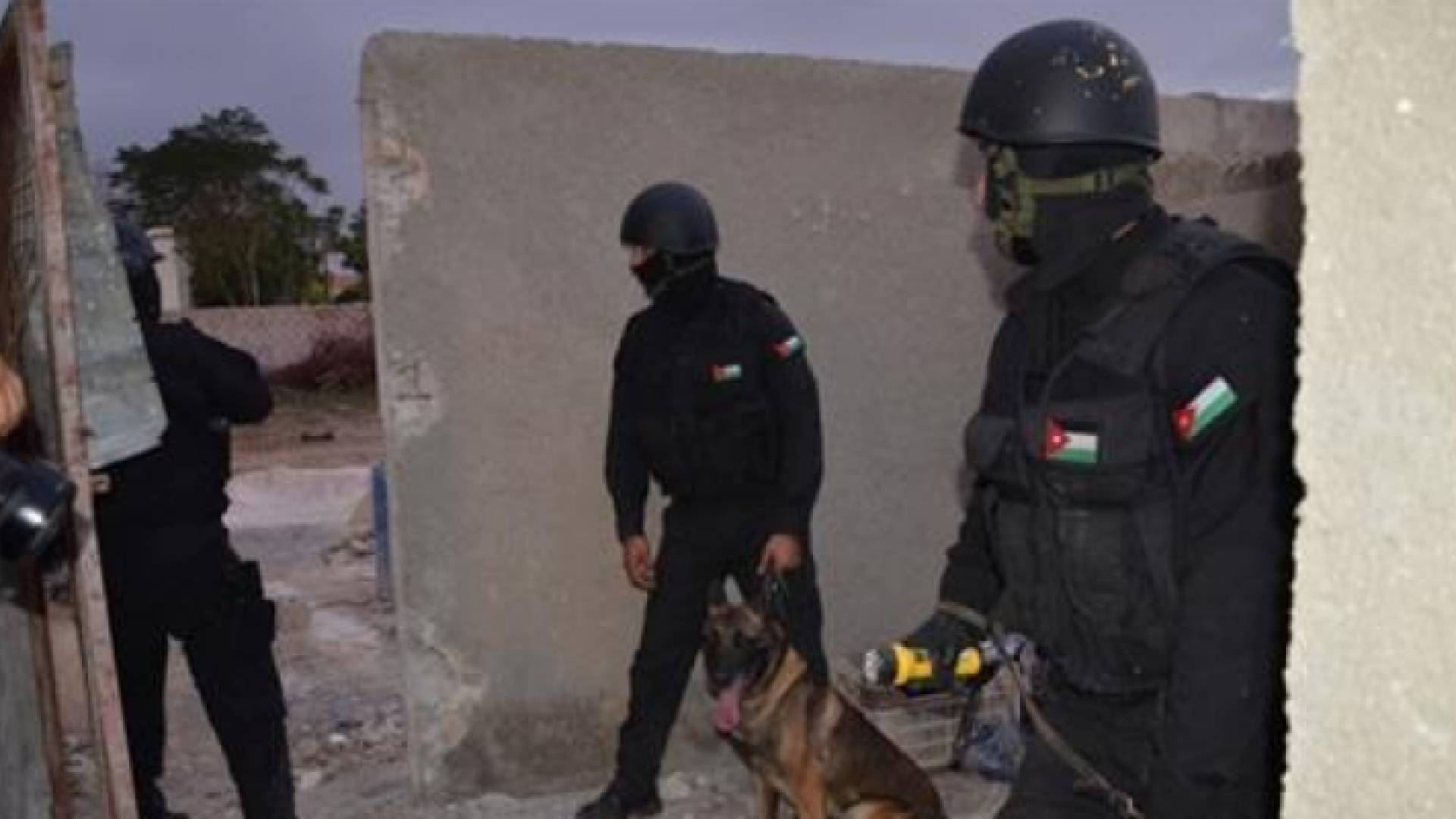 ارشيفية