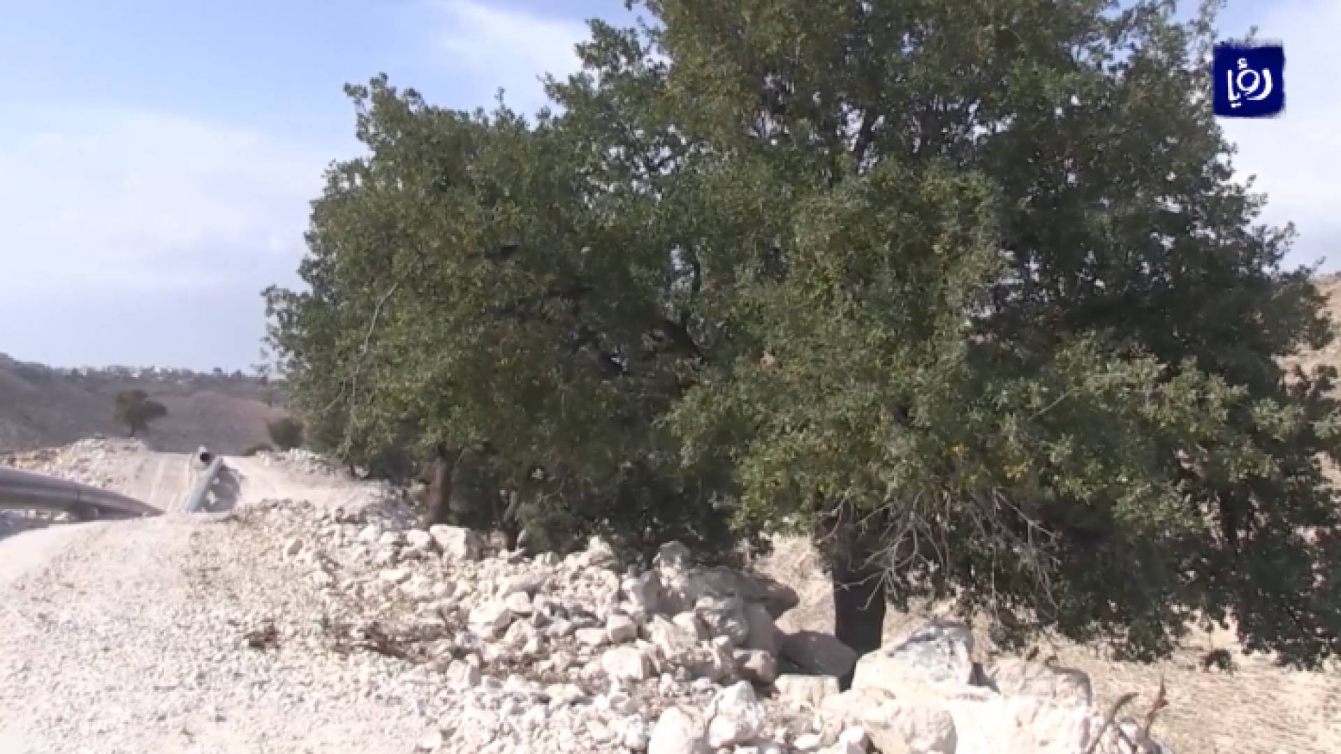 صورة من الفيديو