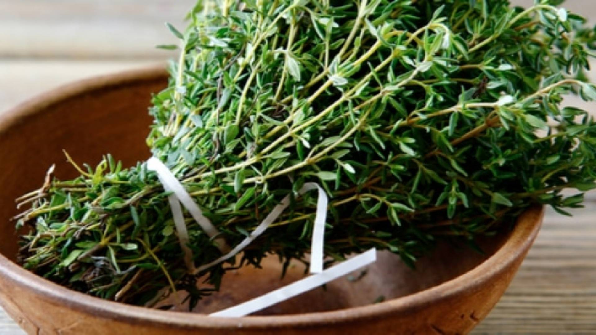 الزعتر البري