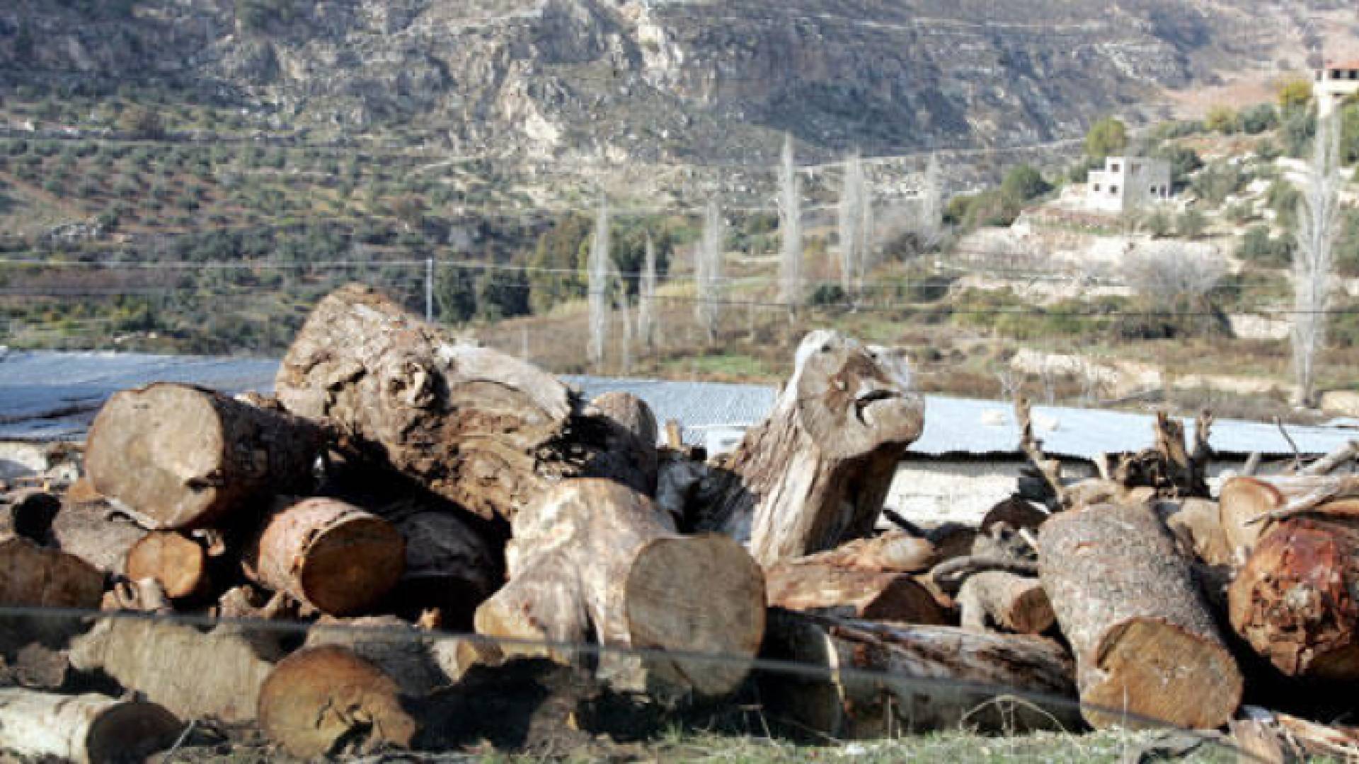 الصورة ارشيفية