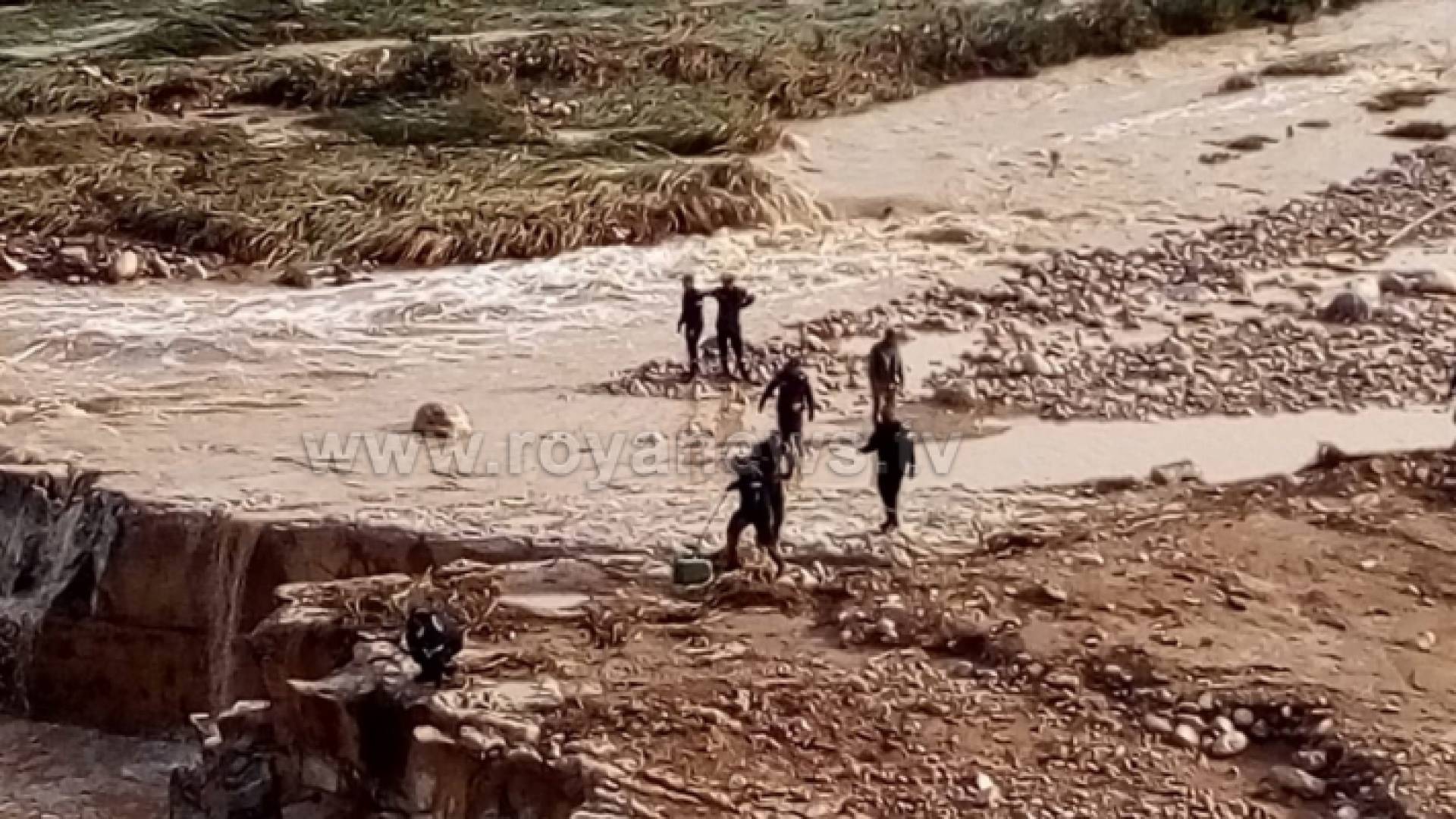 جانب من عمليات البحث في مادبا