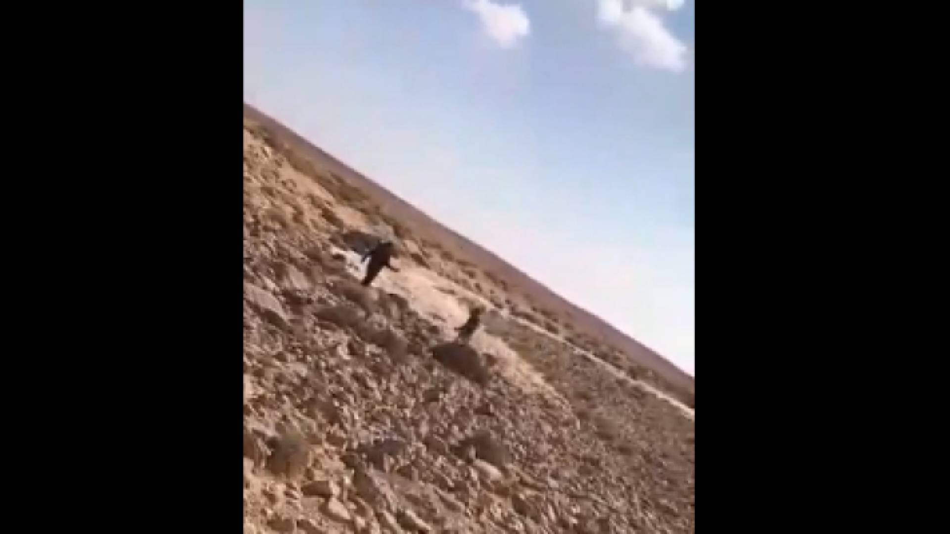 صورة من الفيديو