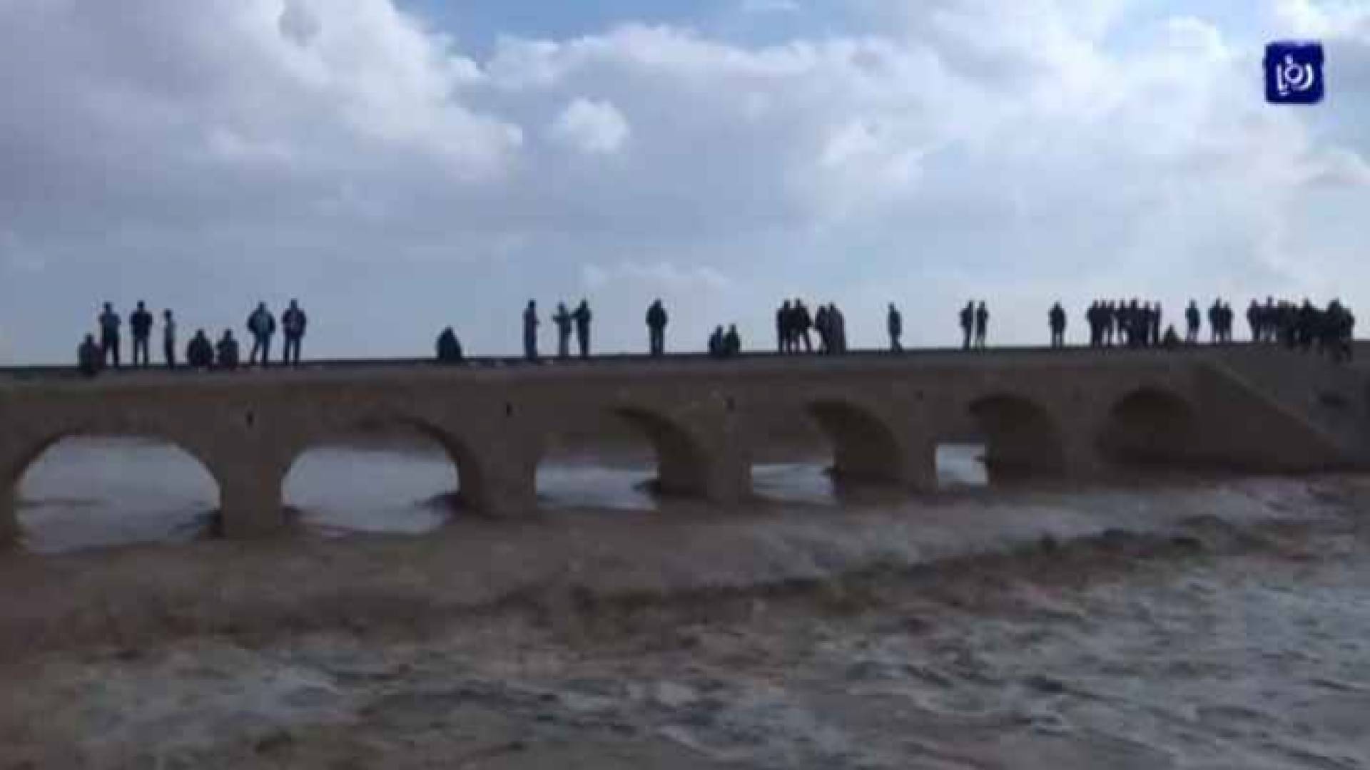 سيل القطرانة